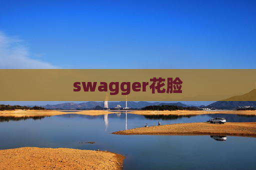 swagger花脸 swagger花脸
